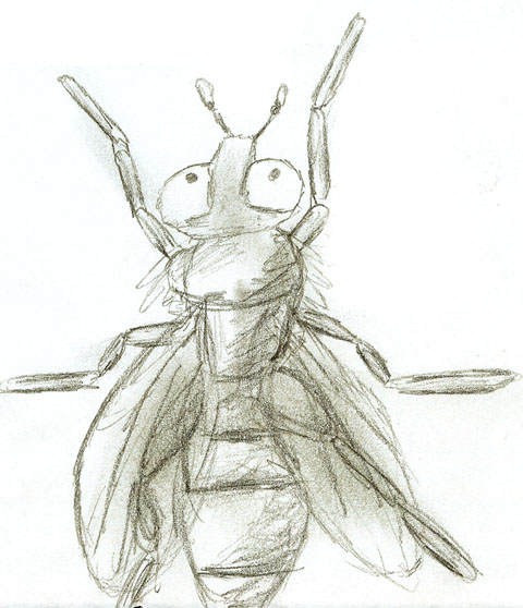 Fly